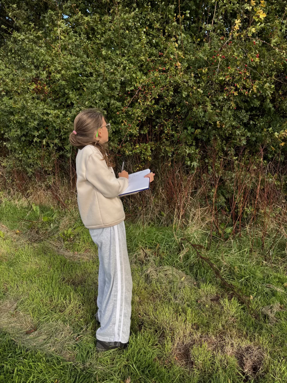 Mapping Our Mini Wild: The Allotment Plant & Tree Audit Image