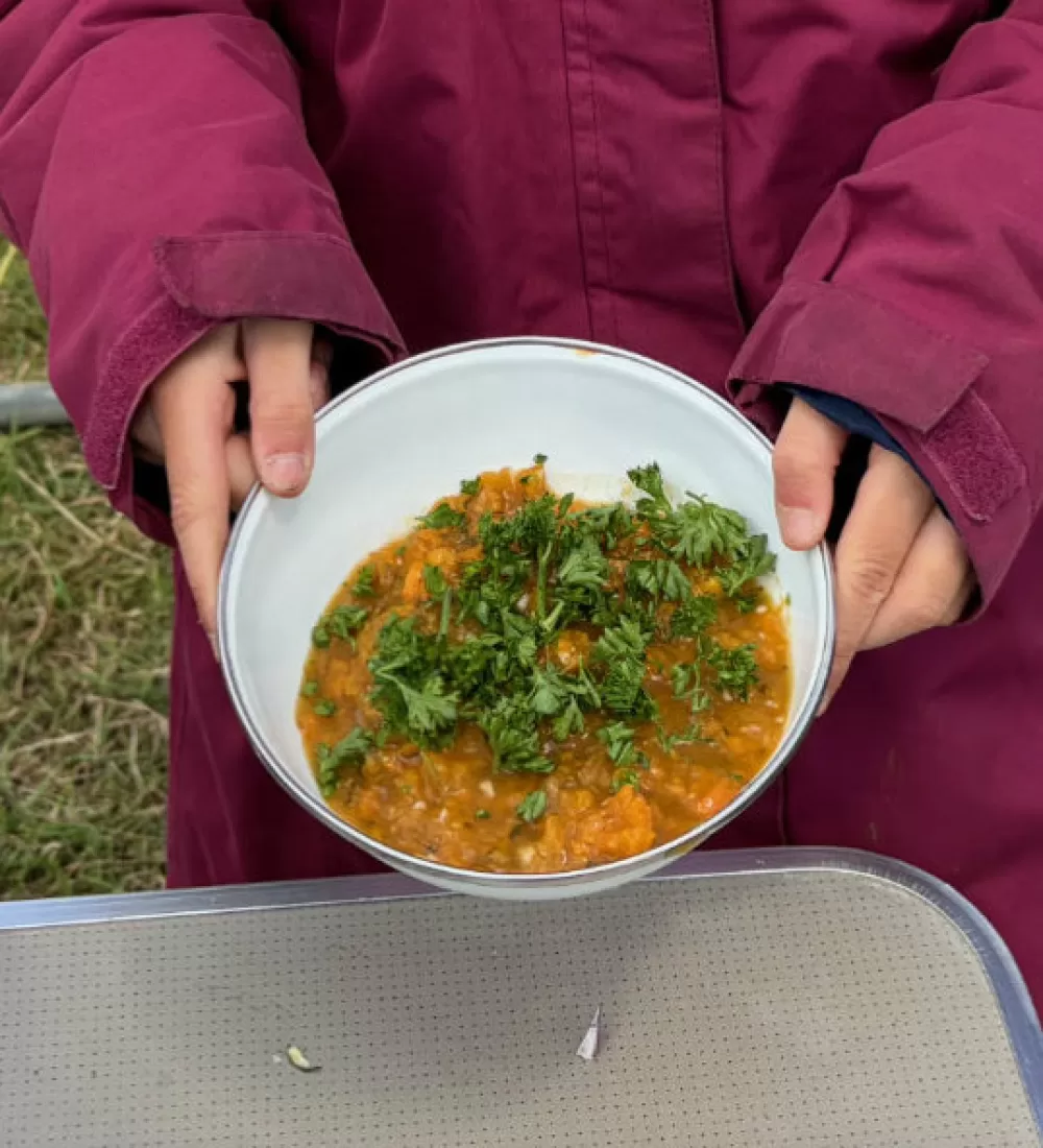 Carrot and Coriander Soup image 1